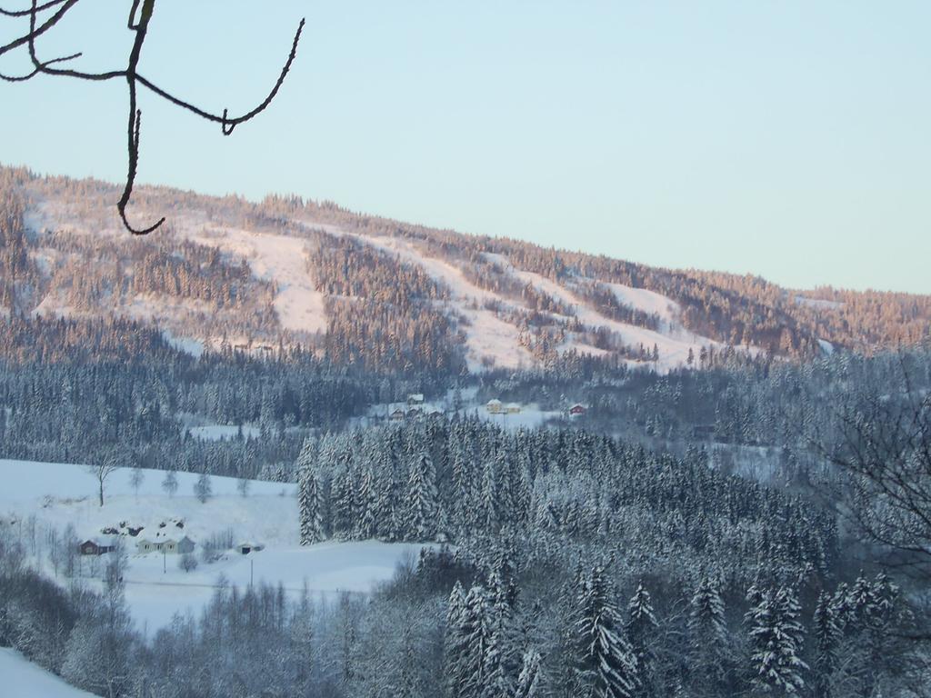 Sogn Gjestegard Svarstad  Стая снимка